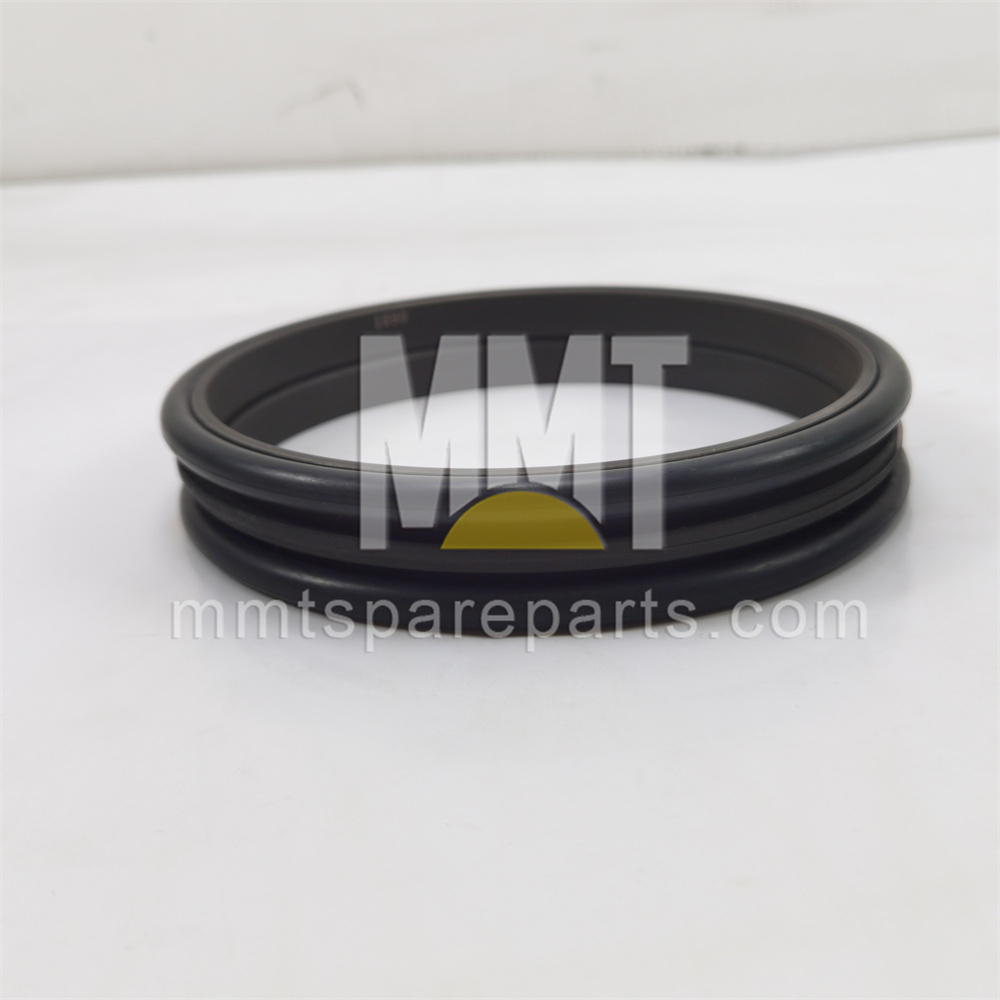 1090861 duo cone seal
