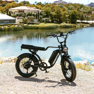 F2 Outdoor Pet Bicycle Trailer