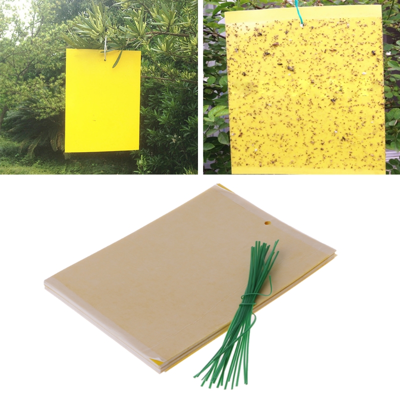 20Pcs Dual-Sided Yellow Sticky Traps for Flying Plant Insect Gardening Tools G8TB