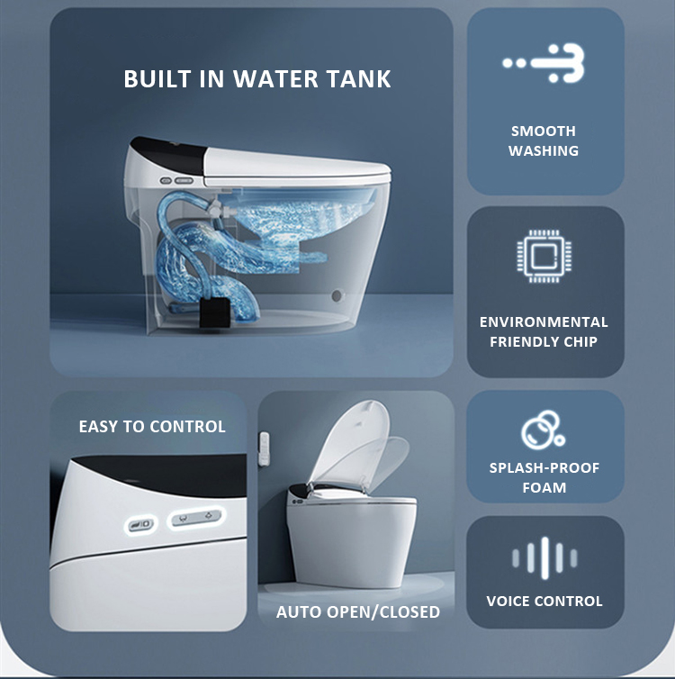 floor mounted bidet toilet