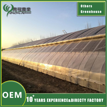 Innovative Solar Greenhouse Models