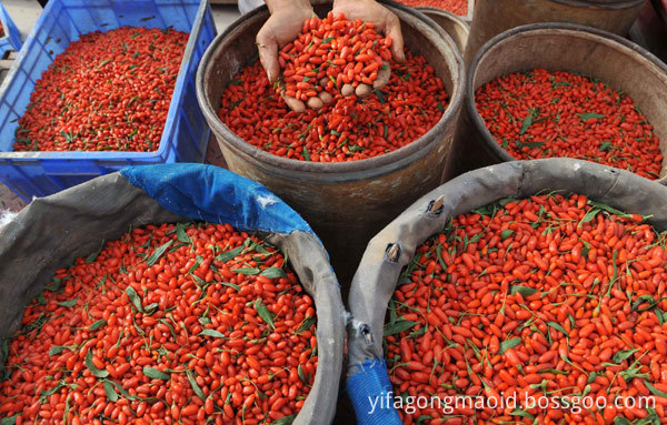 goji berries