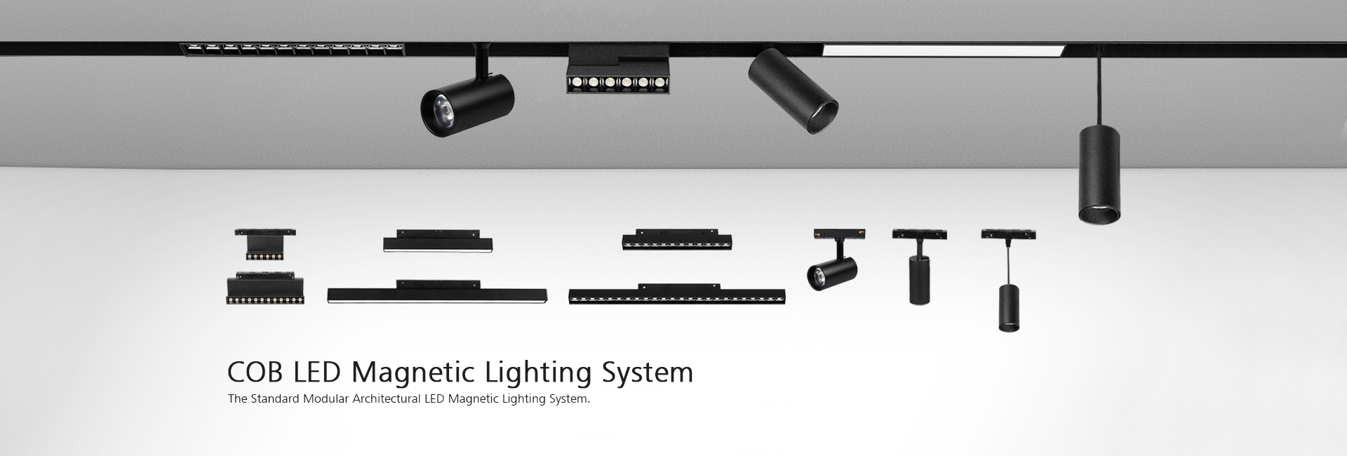 track light system