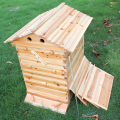 Automatic Honey Bee Hive House Honey Collection Wooden Food Grade Box Bee Hive Frame Beehive Box Beekeeping Box Tools Supplies