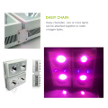 Hydro indoor auto grow system 300W led grow lights