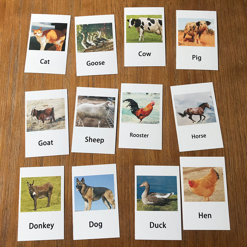 24pcs Montessori Toys Animal Match Cards Matching Game Montessori Preschool Educational Language Learning Poultry Models Kid Toy