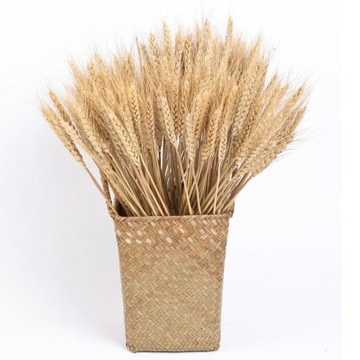 50pcs/100pcs Wheat Autumn Decoration Pampas Grass Craft Flowers Dried Flowers for Wedding Decoration Wheat