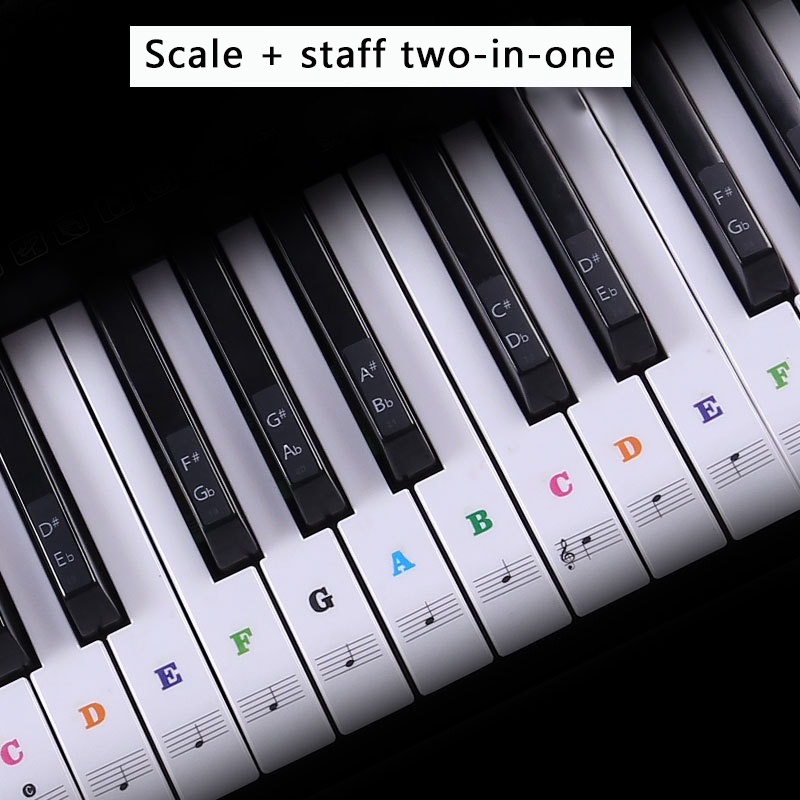 37/49/54/61/88 Key Piano Sticker Piano Keyboard Sticker Removable Electronic Keyboard Piano Sticker For Kids Beginners Practice