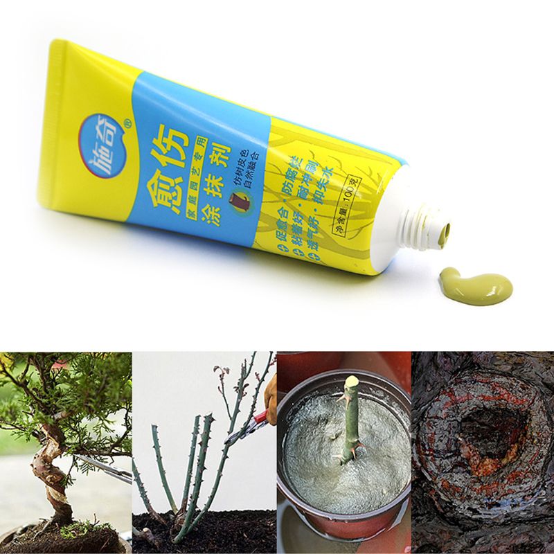 100g Tree Wound Bonsai Cut Paste Smear Agent Pruning Compound Sealer with Brush X4YD