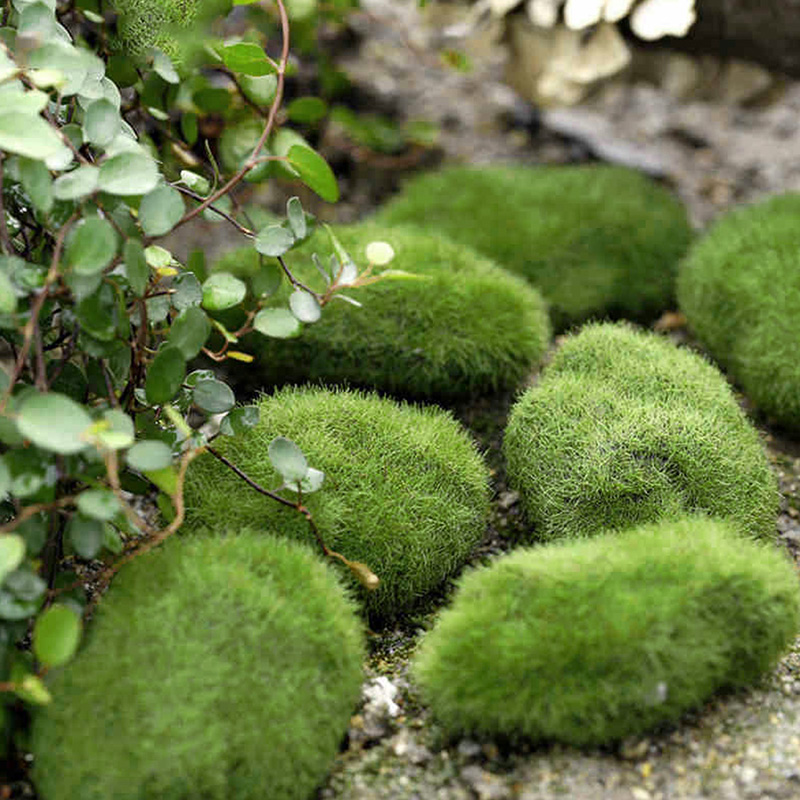 5pcs Green Artificial Moss Stones Grass Plant Poted Home Garden Decor Landscape