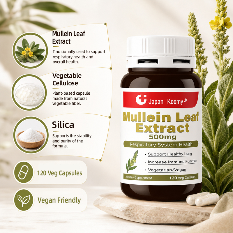 Mullein Leaf Extract Capsules9