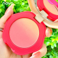 4 Colors Gradient Blush Powder Smooth Easy To Color Long Lasting Waterproof Sweat-proof Powdery Delicate Blush Face Makeup TSLM1