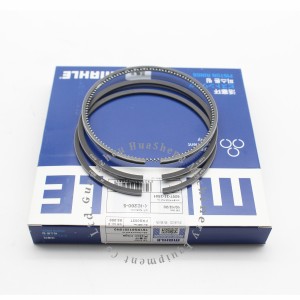 Diesel Engine Parts Piston Ring 6207-31-2501 for S6D95