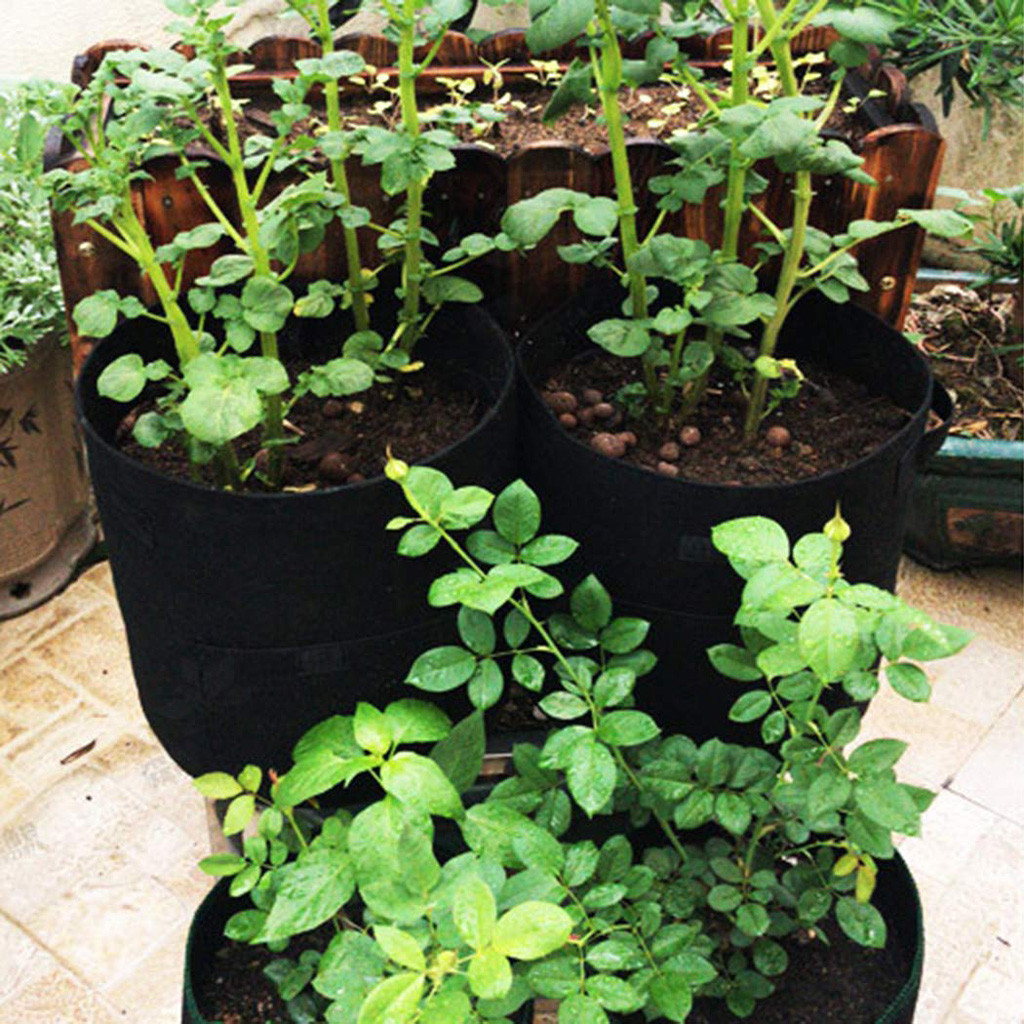 Plant Grow Bags Nonwoven Cloth Pot Gardening Bag Vegetable,Potato Planter Bag 2019 New Arrival Hot Sale
