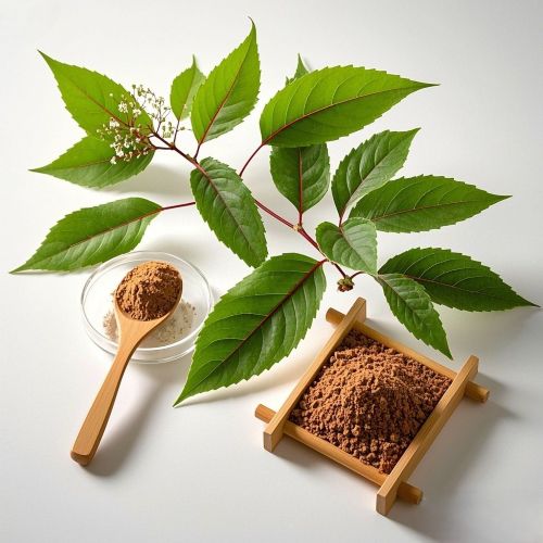 Vernonia Amygdalina Extract (5)