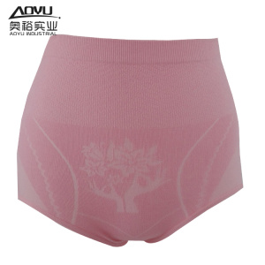 Good Quality for Sexy Bikini Pants Young Women`s Seamless Mama Bikini Pants supply to Russian Federation Manufacturer