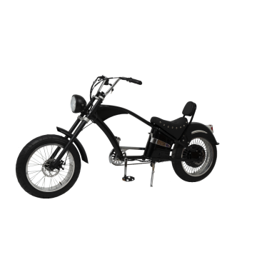 Best quality high efficiency electric bicycle