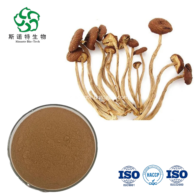 Agrocybe Aegerita Extract