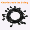 Only the String