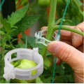50PCS/SET Reusable 25mm Plastic Plant Support Clips clamps For Plants Hanging Vine Garden Greenhouse Vegetables Tomatoes Clips