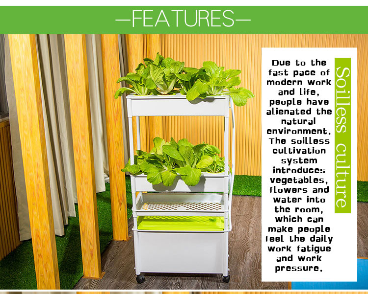 hydroponic system 4