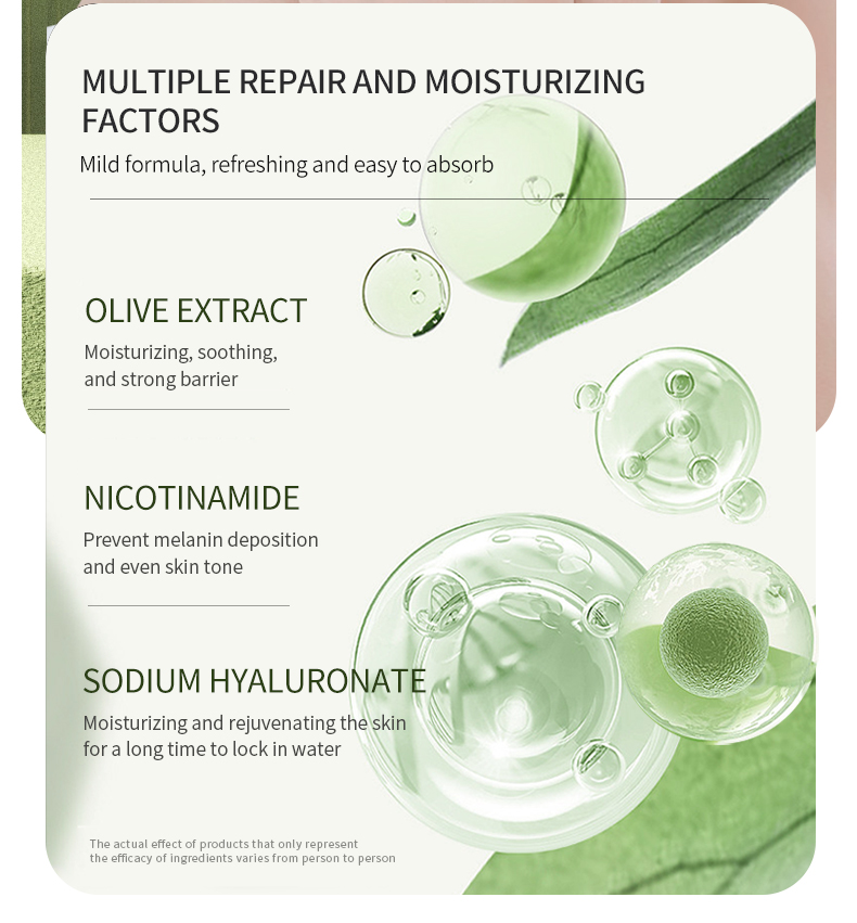 Olea Europaea Body Lotion 07