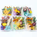 1 Box Real Dried Flower DIY Accessories Dry Plants Aromatherapy Candle Epoxy Resin Pendant Necklace Jewelry Making Craft Flor