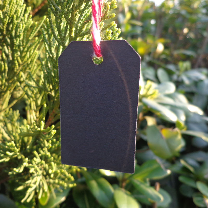 100pcs Trapezoid Black Gift Tag Wedding Party Blank Paper Tag Price Label Paper Hang Card Hemp String Included Garment Tag 5x3cm