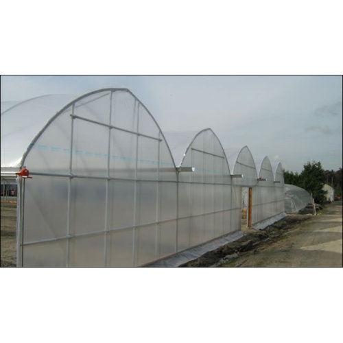 Agriculture Multi Span Film Greenhouse Manufacturers and Agriculture Multi Span Film Greenhouse Suppliers