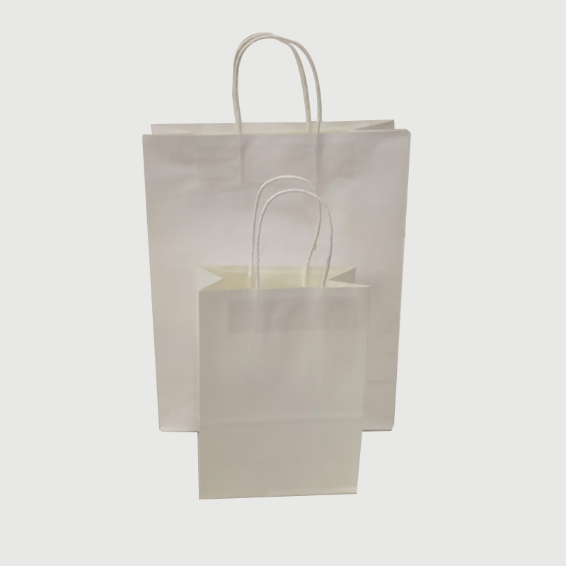 shopping bags paper.jpg