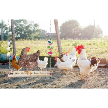 Toy Swings New Chicken Ladder Wood Stand Chicken Toy Swing For Chicks Rooster Hens Interesting Classic Christmas Presents