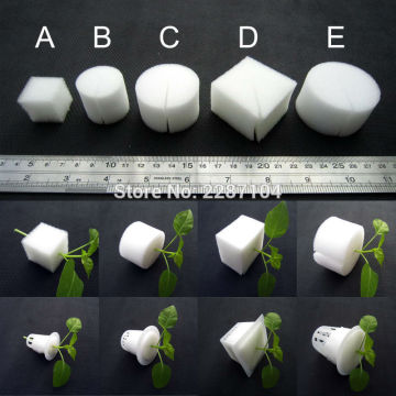 25/100pcs White Clone Cloning Collar Foam Insert Hydroponic Plant Vegetable Root Guard Seed Germinate For Mesh Pot 5 sizes