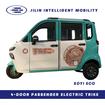 Enclosed Electric Tricycle-P5(Blue and white left)