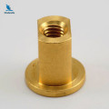 Brass Fasteners Screws Nuts