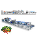 https://www.bossgoo.com/product-detail/industrial-fruit-and-vegetable-processing-production-63283674.html