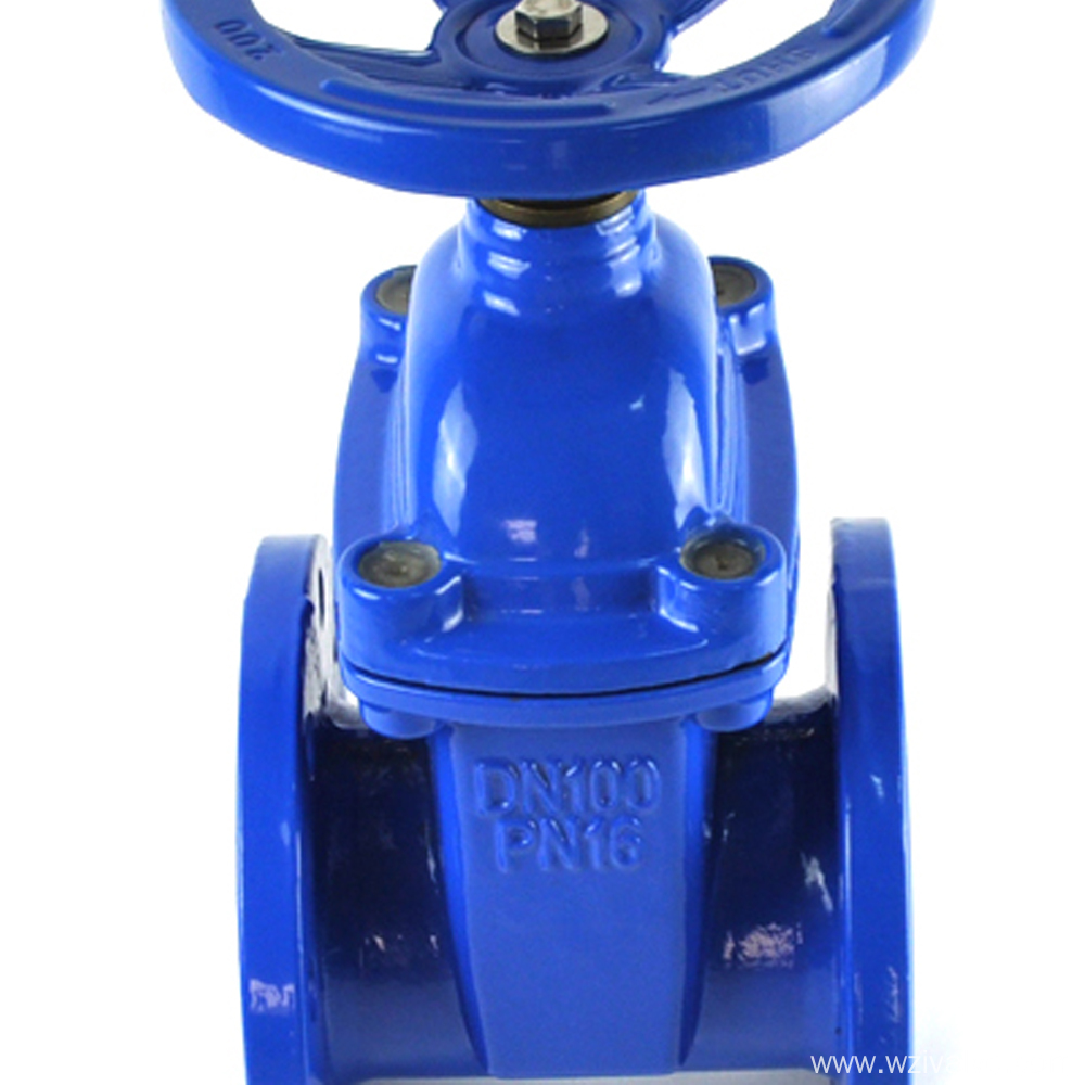 ductile cast iron spring loaded gate valve pn 25 China Manufacturer