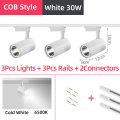 COB style 30W white