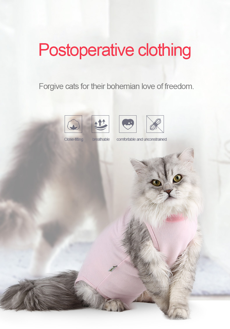 Cat Clothes Jpg