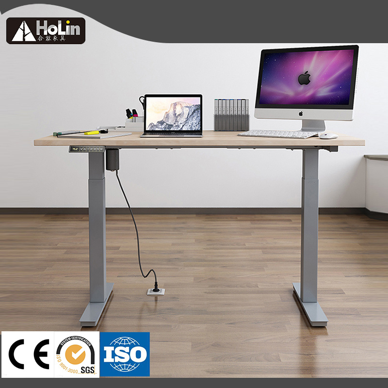 Electric Lift Height Adjustable Ergonomic Table Sit Stand Office Workstation Executive Computer Desk
