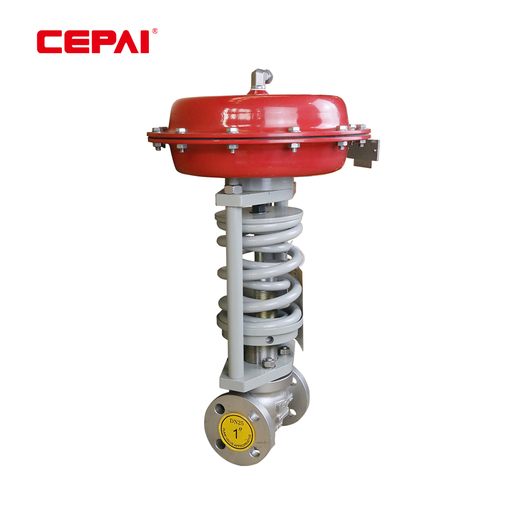Self Operated Control Valve