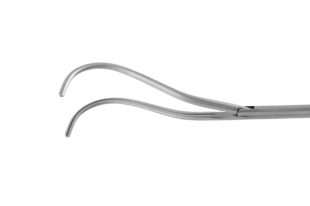 Curved Dissecting Forceps