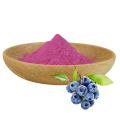 Blueberry Extract Powder anthocyanins fruit powder