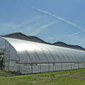 Long Life Prefabricated Simple Structure Tunnel Greenhouse