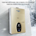 12L 220v Instant Domestic Natural Gas Gas Water Heater Water Heater Strong Emission Type Water Heater LGP Wall Mounted