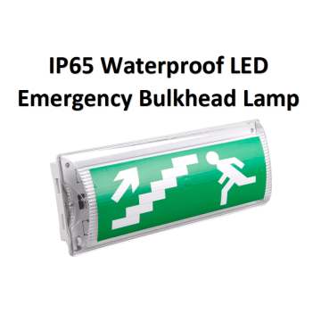 IP65 Waterproof LED Emergency Bulkhead Lamp