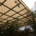80% High Density Sun Shade Rate Net Beige Anti Dust Balcony Succulent Plant Shade Awning Fish Pond Fish Lake Canopy Grass Breath