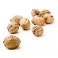 Wholesale Large Low Price Raw Walnuts and Organic Walnut Kernels from Xinjiang