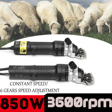 ELECTRIC 850W SHEEP Cutter /GOATS SHEARING CLIPPER + 13 tooth straight blade High power cut wool