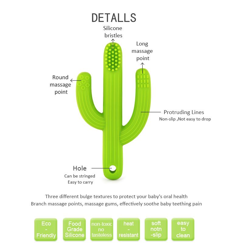 cactus teething toys cactus teething toys