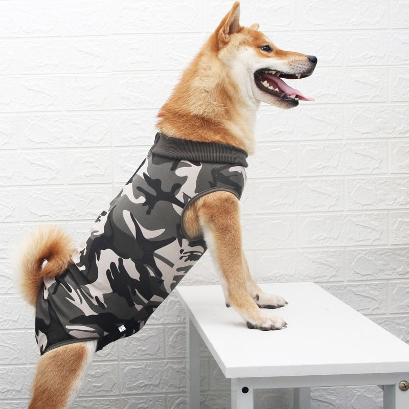 After Surgery Pet Clothing Uk